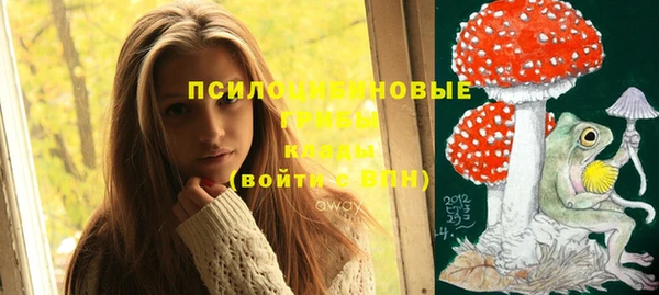 не бодяженный Михайловск