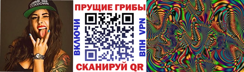 Купить закладки  Первоуральск  Псилоцибиновые грибы GOLDEN TEACHER 